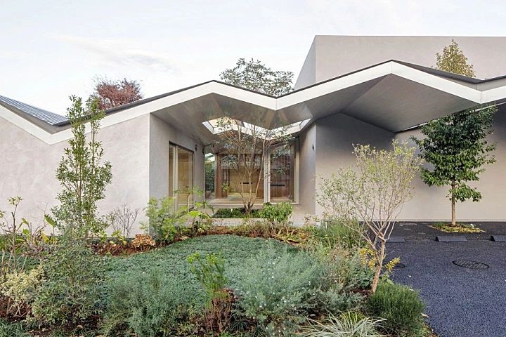 新作丨 树木穿透屋顶 林中诊所 Takashige Yamashita Ofﬁce