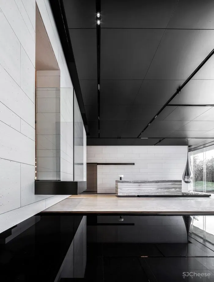 AI DESIGN The Shape Of Water