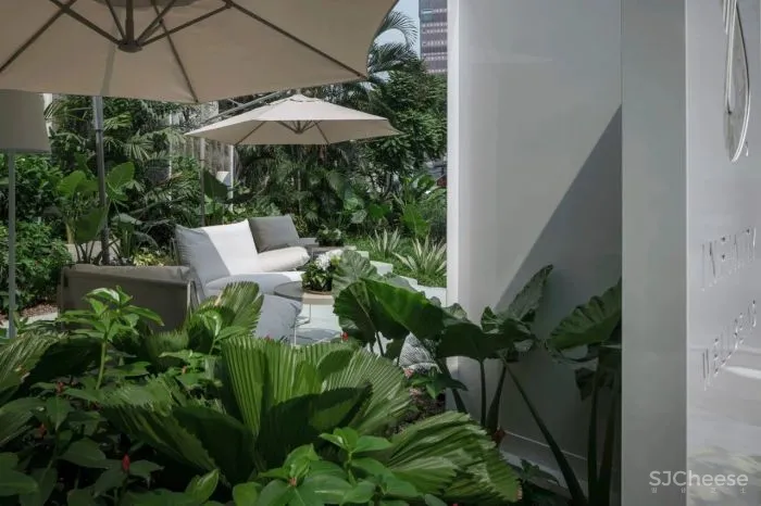 Spa无限康养体验