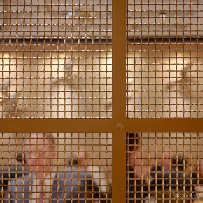 首发 | Studio Munge餐厅设计,夜莺在温哥华的阳光下悠然歌唱