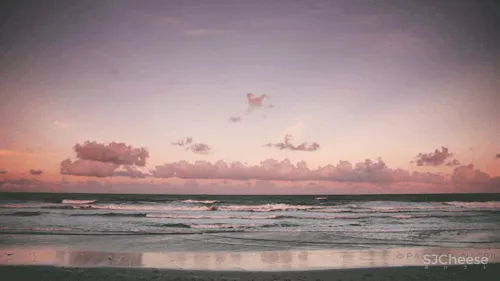 新作丨 海天中心 × 卡纳设计：369米青岛之巅的“可居住的艺术品”