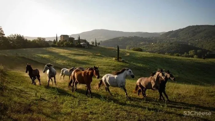 意大利翁布里亚庄园酒店Ristorante Alle Scuderie-这家即将开业的千年庄园酒店,美轮美奂!