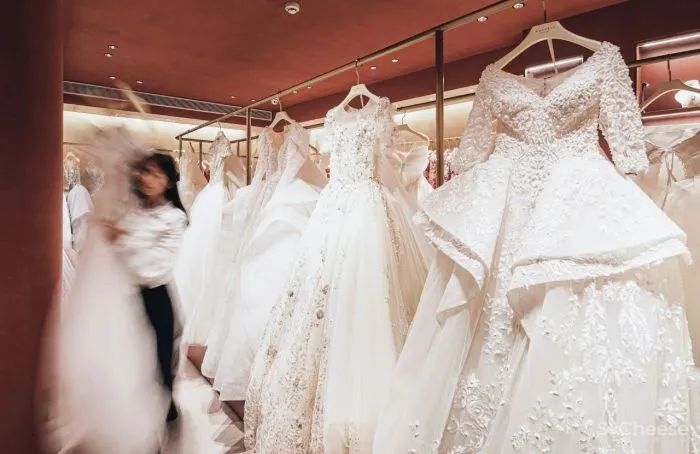 灵魂底色见证幸福时刻