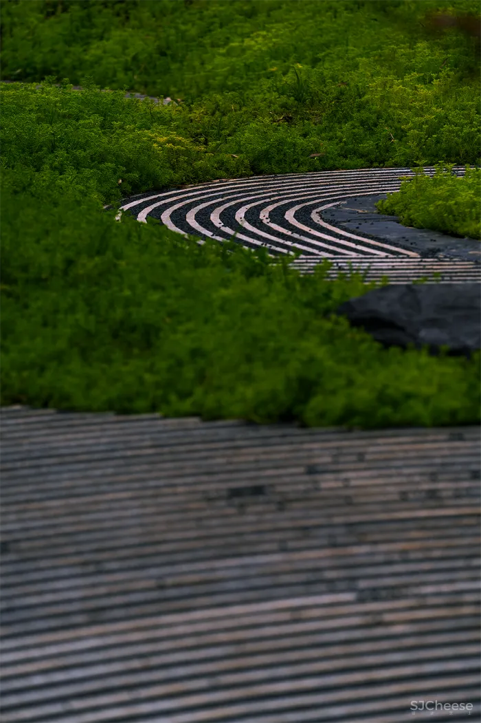 ONE CU 壹方设计 见山茶庐,林中低语