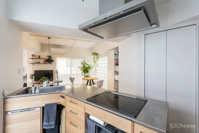 56m²异型空间巧变阳光房,还能干湿四分离 洄游动线!