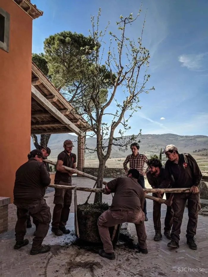 意大利翁布里亚庄园酒店Ristorante Alle Scuderie-这家即将开业的千年庄园酒店,美轮美奂!