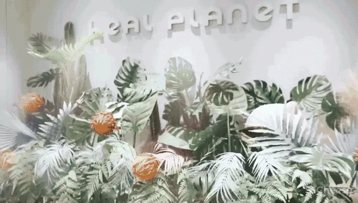 宇合光年 H28治愈星球,用童话诠释温柔的力量守护