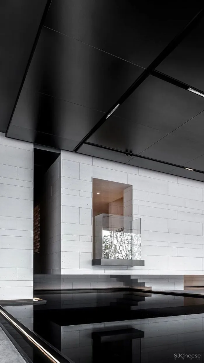 AI DESIGN The Shape Of Water