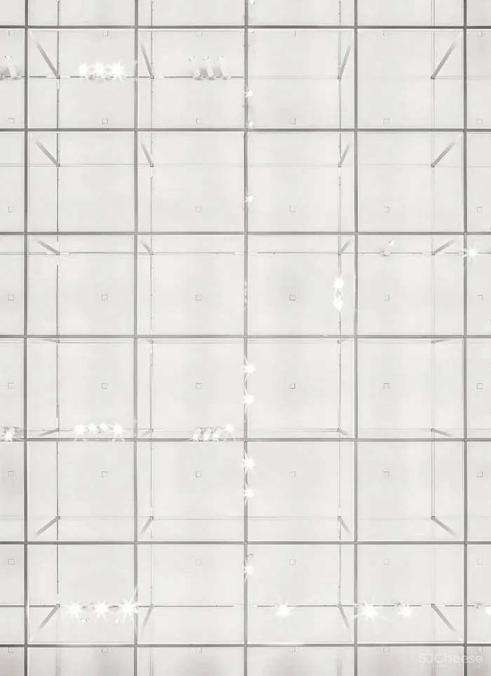 意大利知名品牌TODS米兰旗舰店设计,精致不断变化的画廊