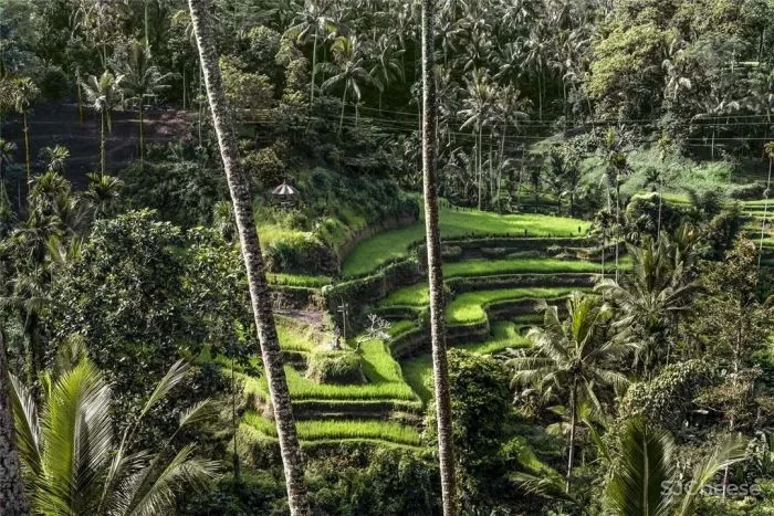 度假目的地|盘点全球38家安缦酒店设计