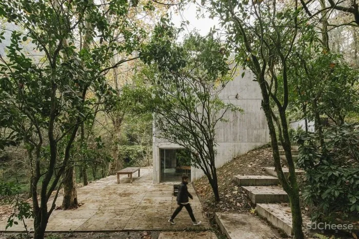 感受Carvalho Araújo的经典设计之美