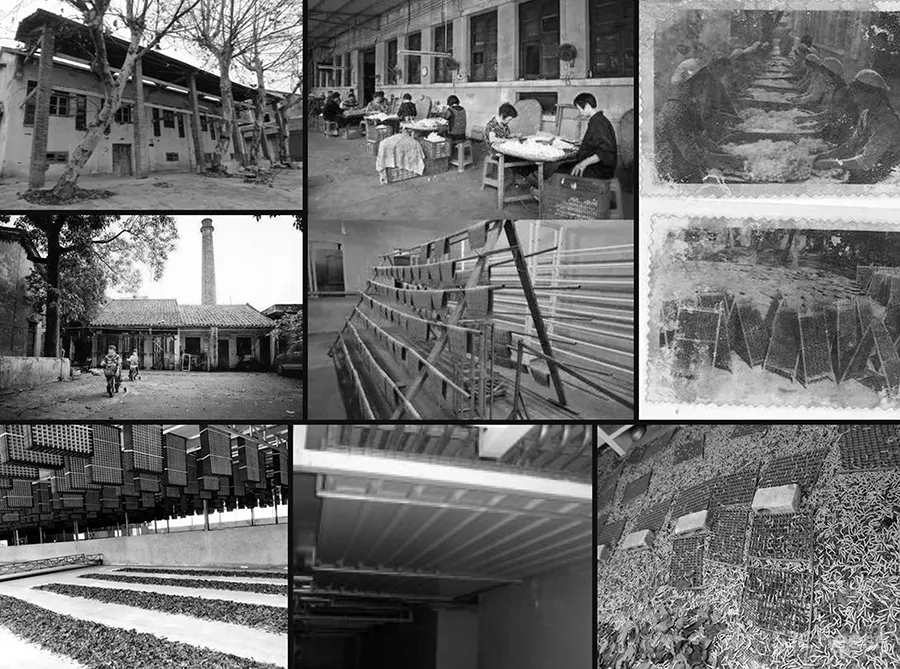 李聪 - 陈书灏 • 莫干山蚕种场｜历史保护建筑“化茧成蝶”