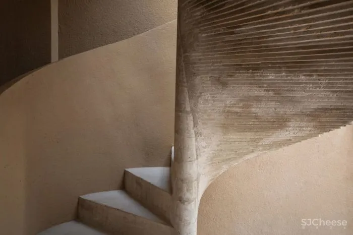 MNMA Studio 野性与灵性的呼唤