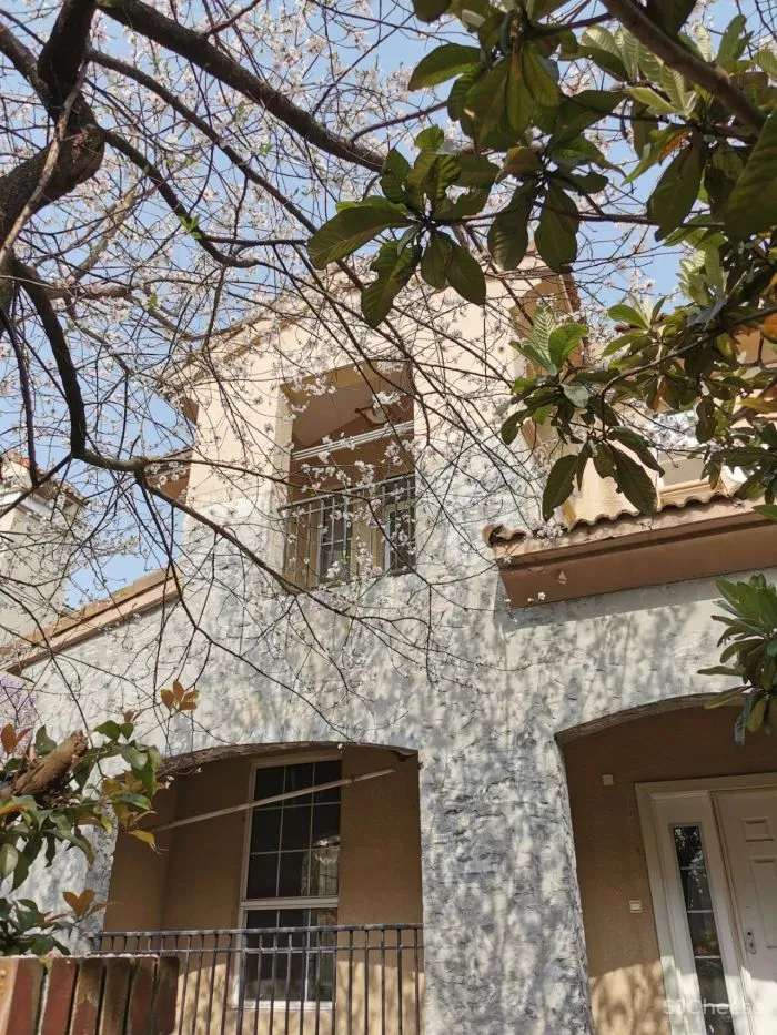 马蹄莲设计：或远亦近，舒缓的自然主义