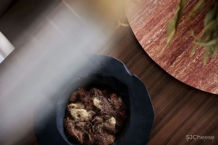 奥迅设计新作丨 草木为诗