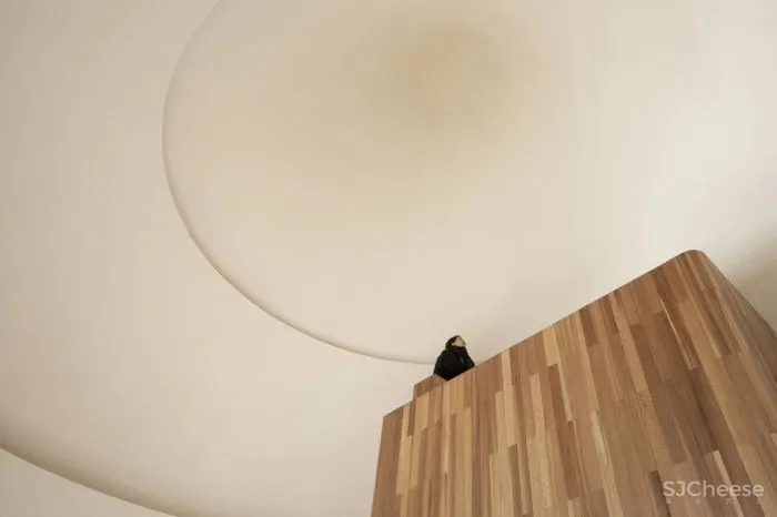 「专访」休耕建筑丨因地制宜的乡建设计