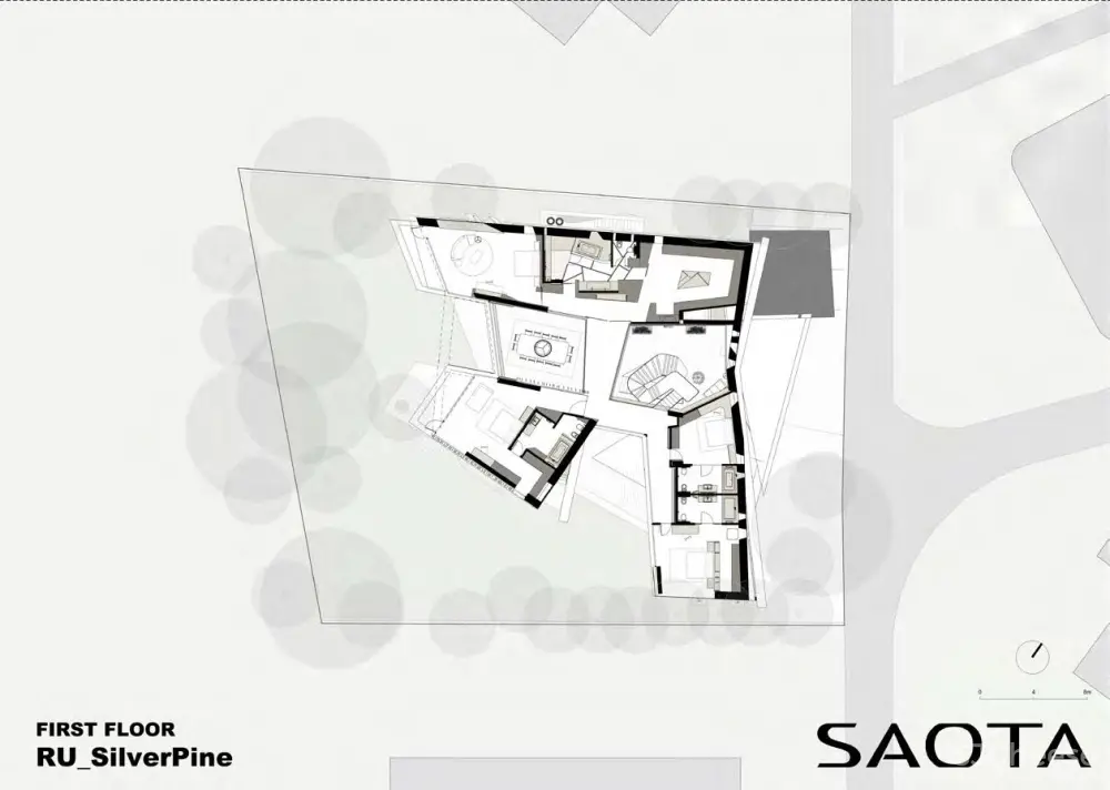 SAOTA新作丨Silver Pine银松,俄罗斯的第一个项目