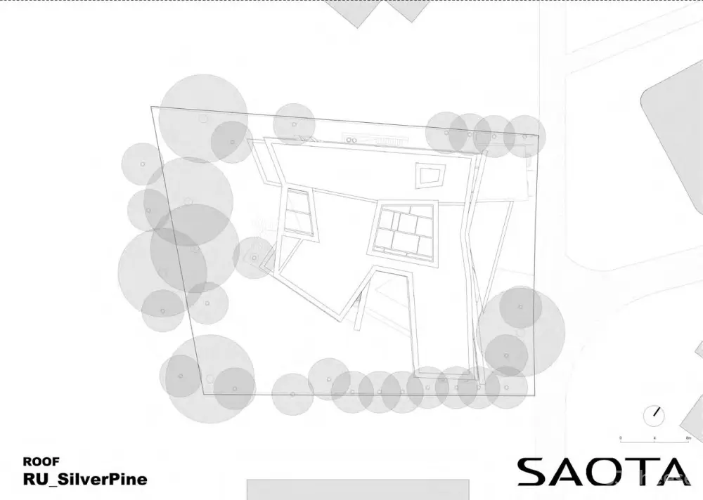 SAOTA新作丨Silver Pine银松,俄罗斯的第一个项目