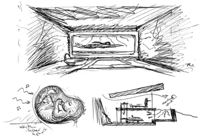 现在都用游泳池当背景墙
