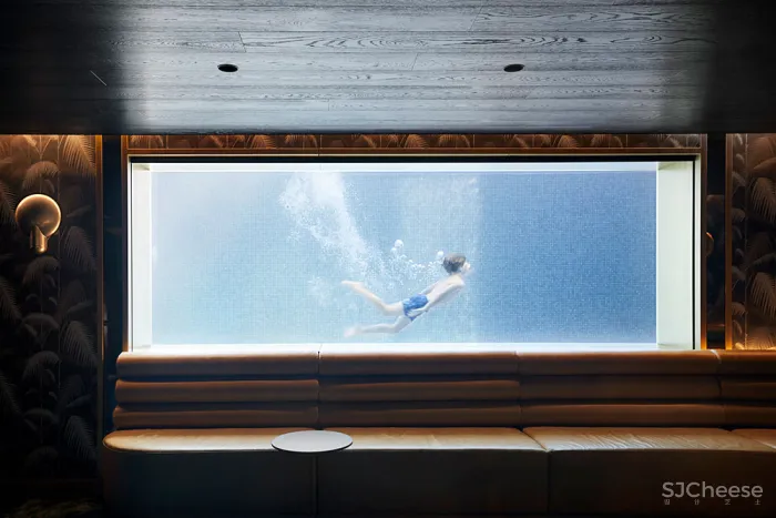 现在都用游泳池当背景墙