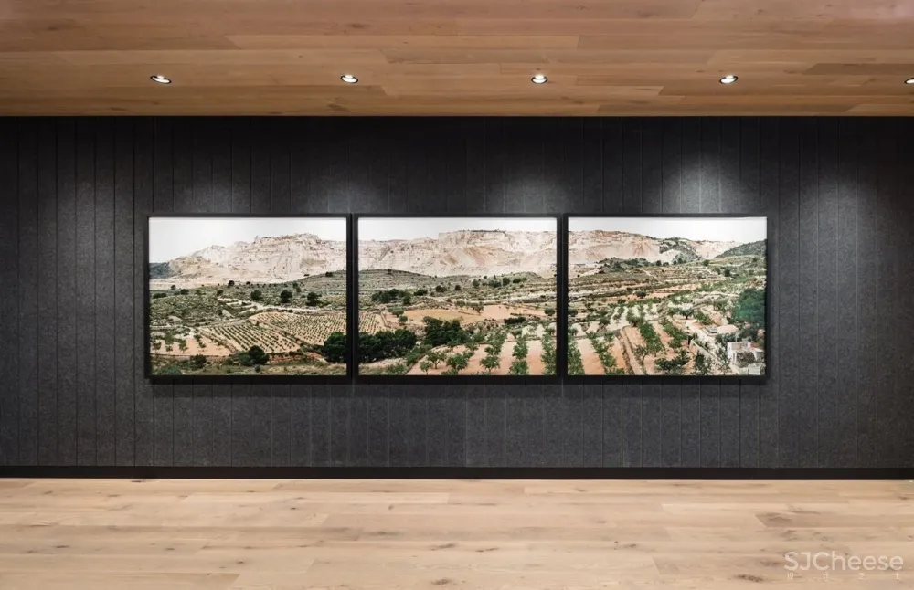 毕马威建筑师事务所优雅的多伦多办公室