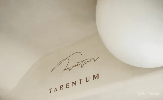 RBD瑞本设计丨 银河万里摩天轮相遇 TARENTUM 萄木