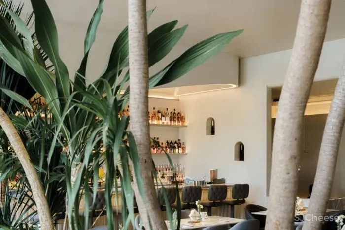 RBD瑞本设计丨 银河万里摩天轮相遇 TARENTUM 萄木