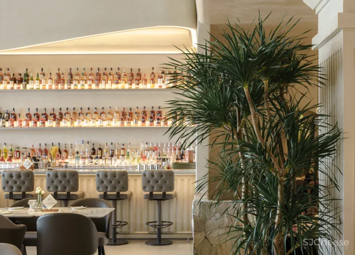 RBD瑞本设计丨 银河万里摩天轮相遇 TARENTUM 萄木