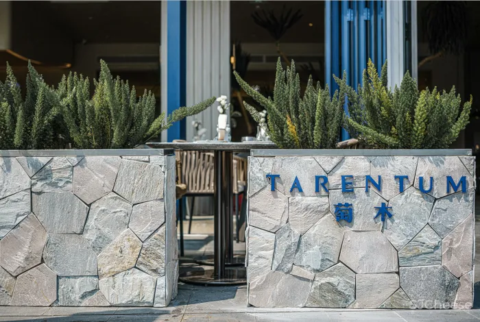 RBD瑞本设计丨 银河万里摩天轮相遇 TARENTUM 萄木