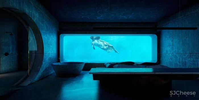 现在都用游泳池当背景墙