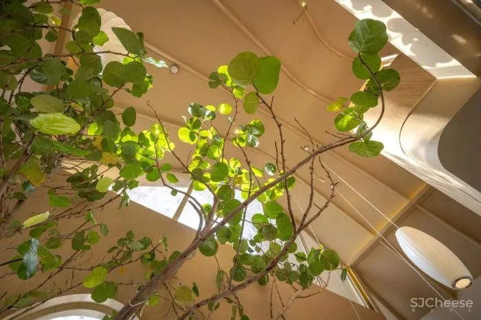 泰国王子餐厅Pae Thewaraj BodinChapa Architects