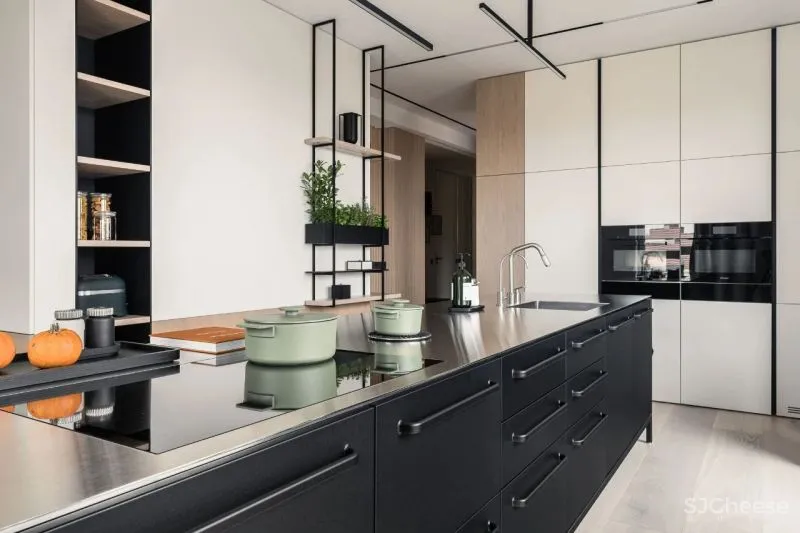 Interno Iza Gajewska新作|现代主义家庭美感