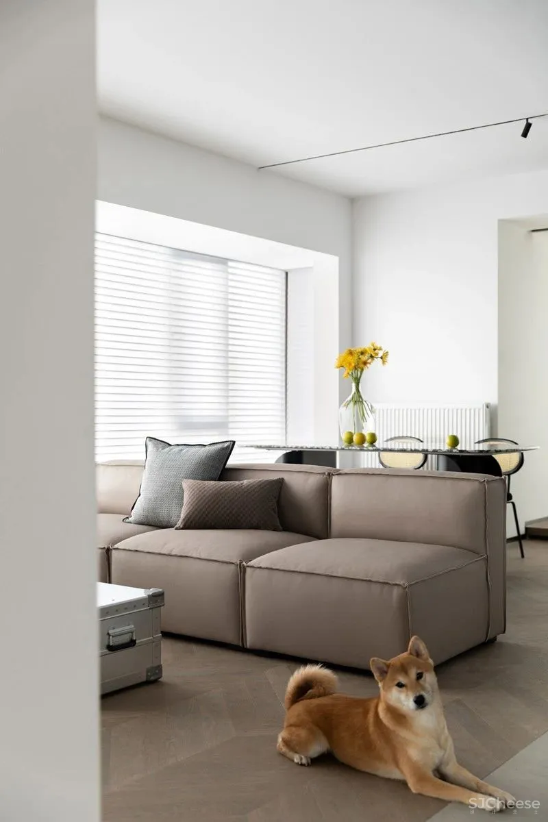 现代公寓:两人两犬,生活不限定 菲拉设计