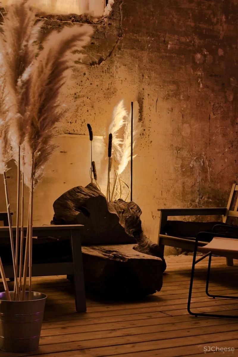 DA bureau丨圣彼得堡从“废墟”中生长出的建筑庭院