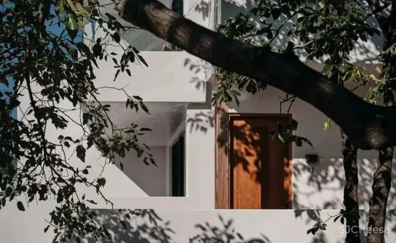 大理夕上酒店 尚壹扬 谢柯