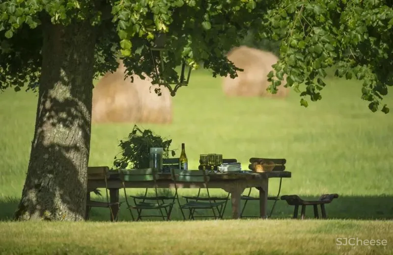 Jean Louis Deniot-法国最受追捧的国际室内设计师之一