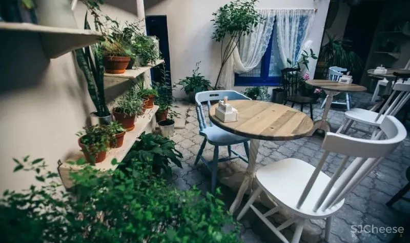 假如，你有个院子...