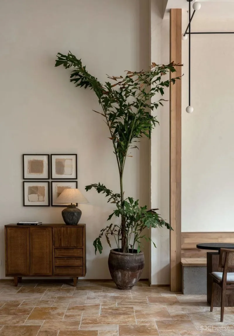 这一年 石朝思 保持自知,保持思想独立