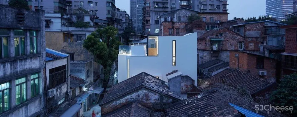 谢英凯『窝·居』｜房子不仅仅是给人住的，猫也有“主人权”