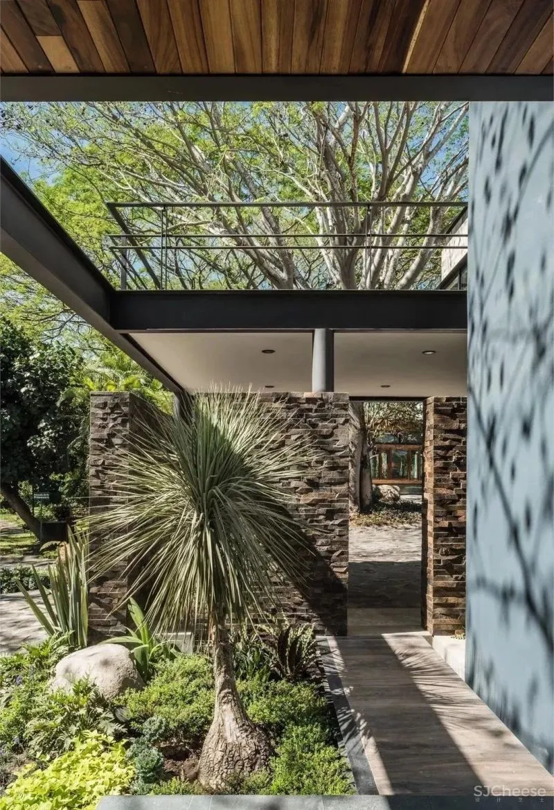 假如，你有个院子...