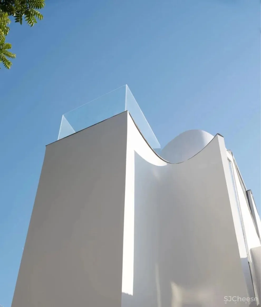 谢英凯『窝·居』｜房子不仅仅是给人住的，猫也有“主人权”