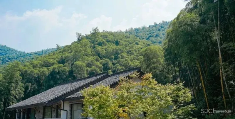 3月民宿考察之旅 在莫干山遇见春暖花开