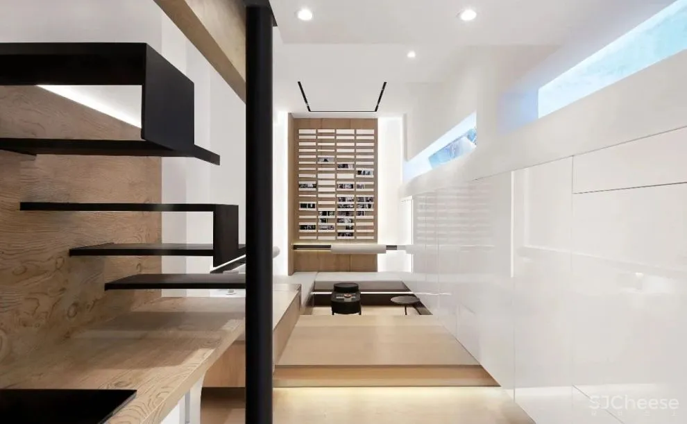 谢英凯『窝·居』｜房子不仅仅是给人住的，猫也有“主人权”