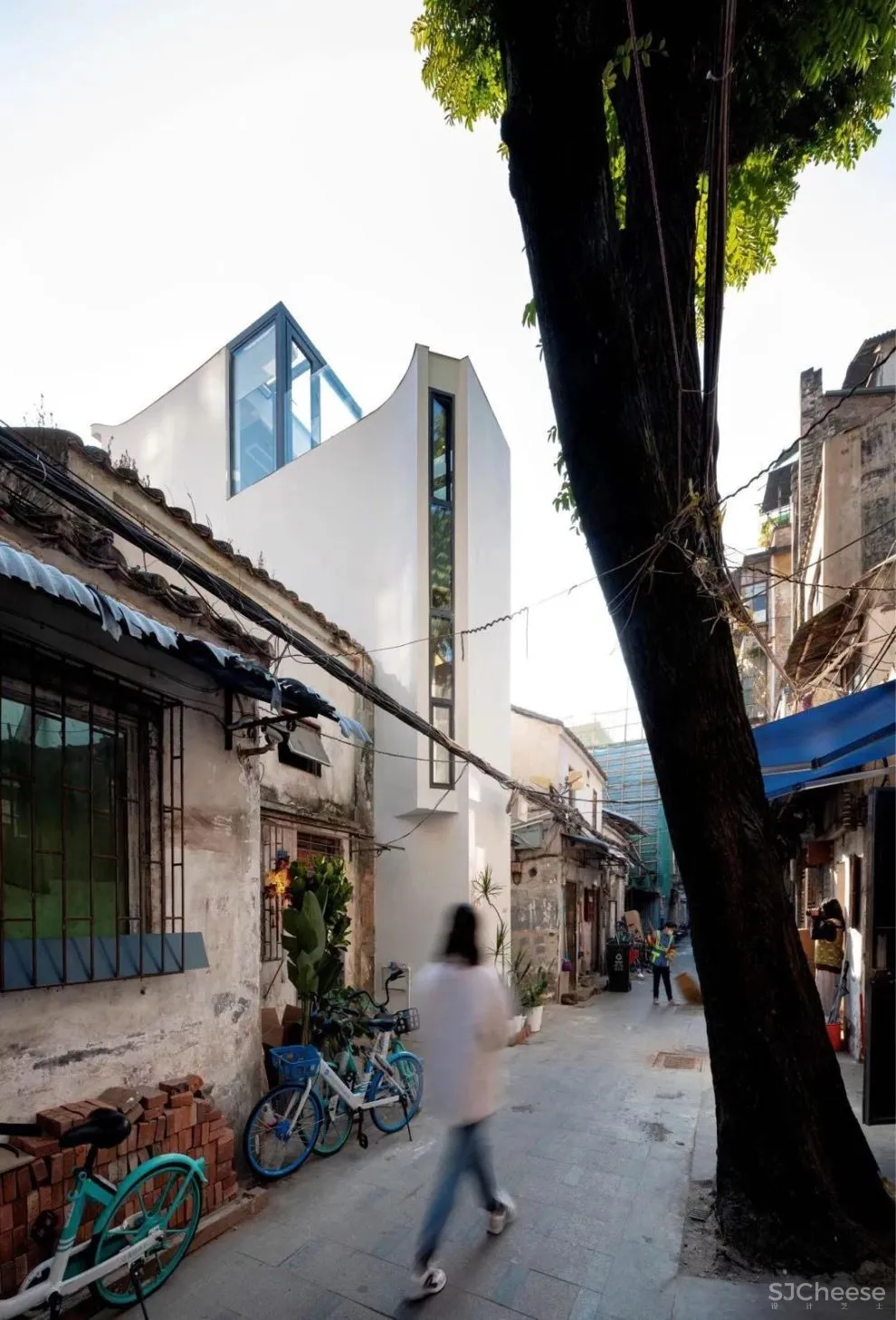 谢英凯『窝·居』｜房子不仅仅是给人住的，猫也有“主人权”