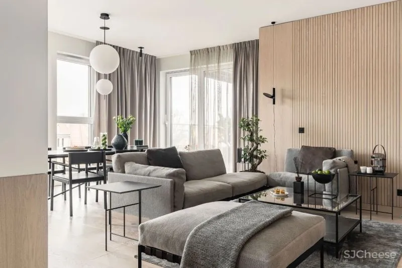 Interno Iza Gajewska新作|现代主义家庭美感