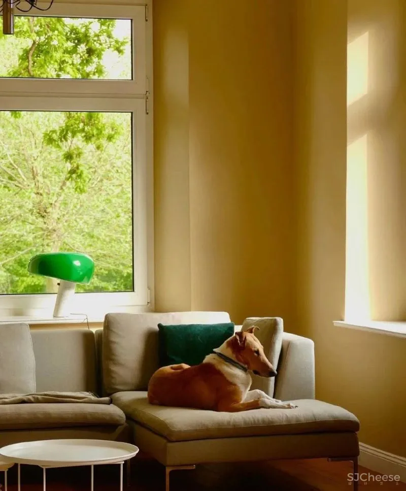 4套软装色彩家居