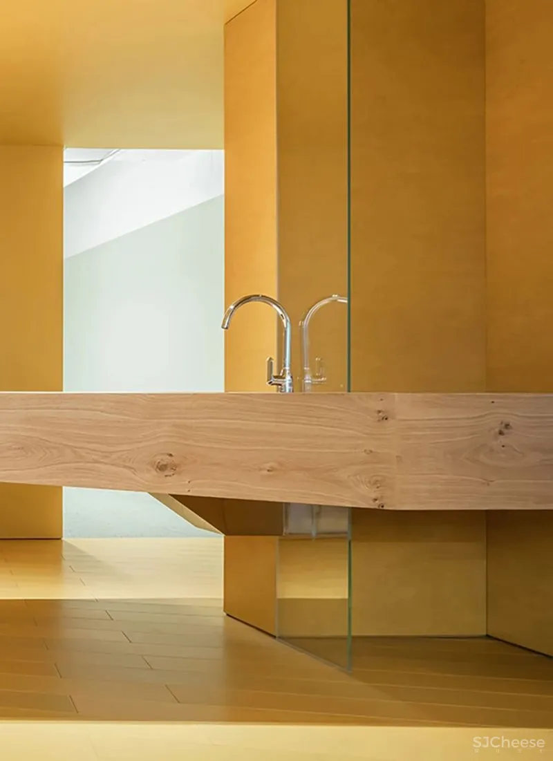 红山设计 自然延展的纯粹空间,气质十足的ECCO总部办公