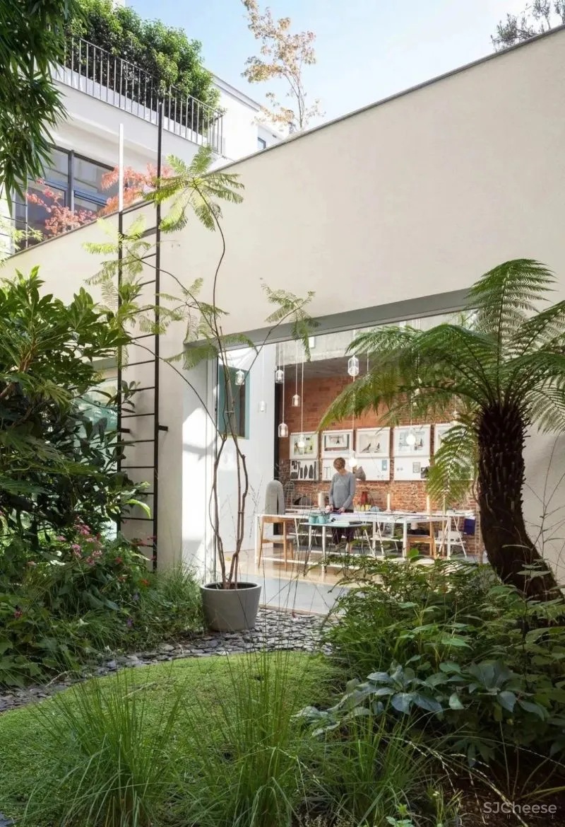 假如，你有个院子...