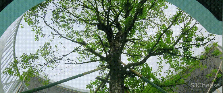 新作 终于来了，2020 中国最美幼儿园——广州圣果国际幼儿园！