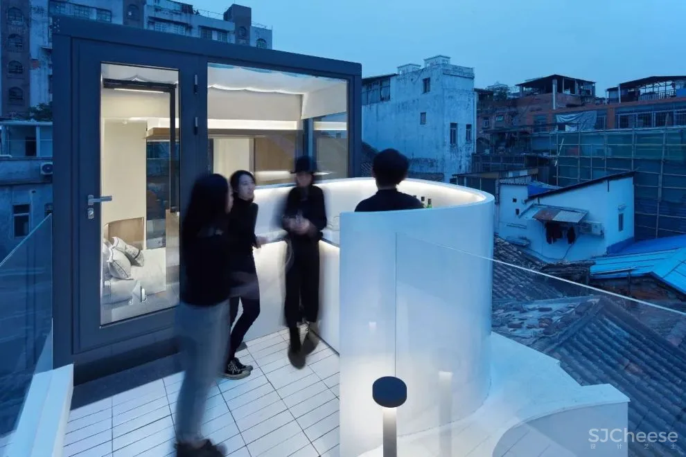 谢英凯『窝·居』｜房子不仅仅是给人住的，猫也有“主人权”